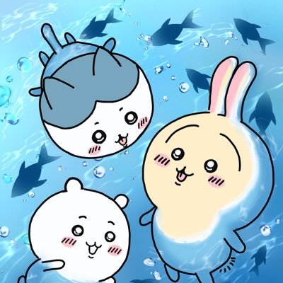 kimiさんのプロフィール画像