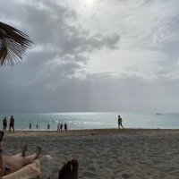 kcp (@profkcp) 's Twitter Profile