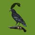 Joshua E. Ohmer | Smoke & Thunder for 5e (@raven_quill) Twitter profile photo Joshua E. Ohmer | Smoke & Thunder for 5e (@raven_quill) Twitter profile photo