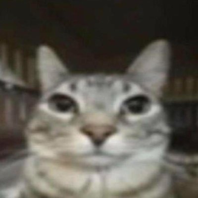 Srim0y's profile picture. radio/head