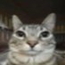 srimoy (@srim0y) Twitter profile photo srimoy (@srim0y) Twitter profile photo