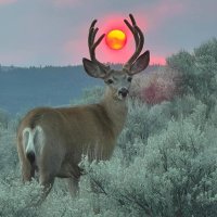 Lâm (@hana63563379) 's Twitter Profile Photo