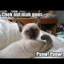 Bret Hamilton - @HamFitTrainer - Twitter