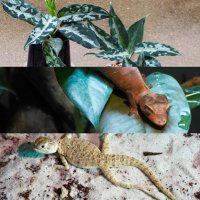 【松】 (@matsubouz0123) Twitter profile photo