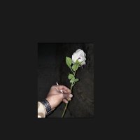 عسكري بصراوي (@basrawywae83268) 's Twitter Profile