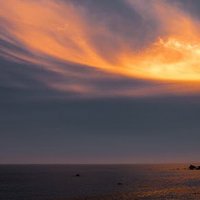 マイケル高橋🐮 (@bca_ggg) 's Twitter Profile