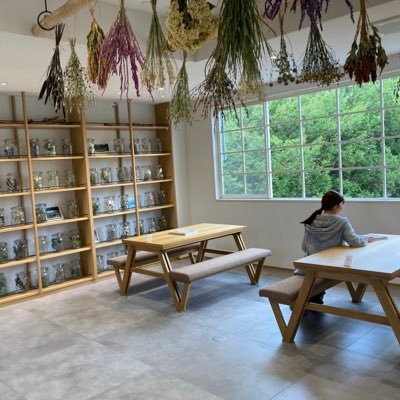 mellow_megumegu's profile picture. ZARDカバーバンド、mellow fieldZでVo.担当🎤 バンド歴＝ボーカル歴＝3年目のまだまだ駆け出し修行中🐣 LIKE: プーさん/お花/観葉植物/アロマ/食器集め/どら焼き/のんびりまったり