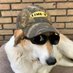 Texan4x4 (@texan4x4x4) Twitter profile photo