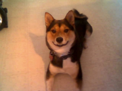 Gina0385's profile picture. 