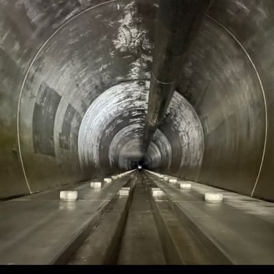 sn64YJRaTL5550's profile picture. ポケポケやってます！
フレンド募集中ですー！