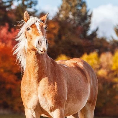 EuniceOlujinmi's profile picture. I am a child of Destiny.