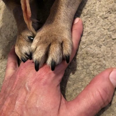 Blockgun1's profile picture. They fail