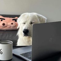 Phatter Kwong (@phatterpp) 's Twitter Profile
