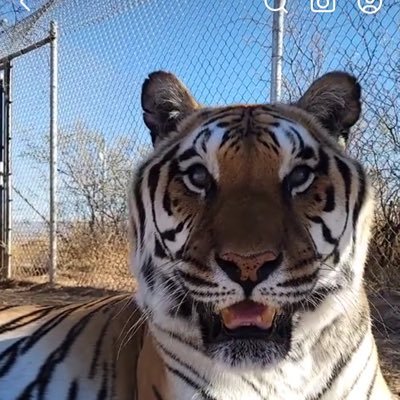 naveennaenra822's profile picture. Rectification | Renaissance | Omniology | Consilience