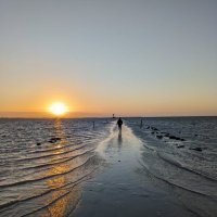 Sébastien Besteiro (@s_besteiro) 's Twitter Profile Photo Sébastien Besteiro (@s_besteiro) 's Twitter Profile Photo
