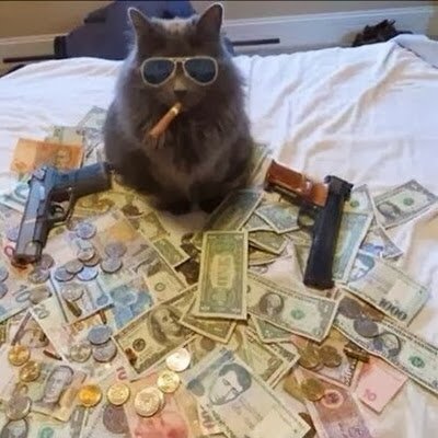 MaxProydisvet's profile picture. 