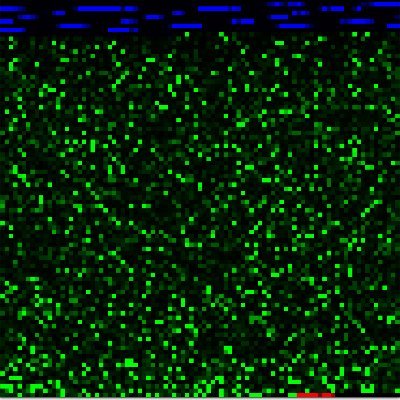 DrachirMaximus's profile picture. 