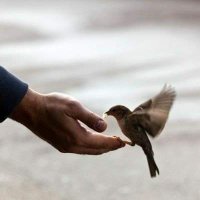 الفرعون العاشق (@sashrf22236) 's Twitter Profile