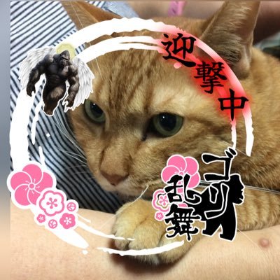 はじまりの刀は加州。石かり 、にゃんちょぎ>くにちょぎ。審神者が出てくる話も好き。一応元レイヤー。刀剣乱舞、アクセサリー関係でない方はフォローして頂いてもブロックさせて頂く事があります。2度目の成人式済んでますヽ(´▽`)/ミュ沼はまり中で推しは崎山つばささん。あらやんさんは別格で好き✨