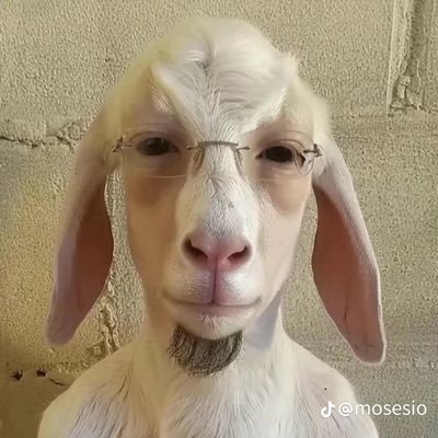 thixzyfn's profile picture. 