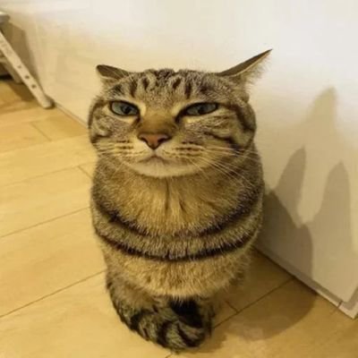 Stroaker23's profile picture. ета я