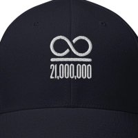 BTCPhasetwo⚡️ (@svphasetwo) 's Twitter Profile