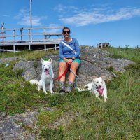 Susan Tobin-Bursey (@sktobin) 's Twitter Profile