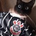 Gatinho Corinthiano (@corinth_gatinho) Twitter profile photo Gatinho Corinthiano (@corinth_gatinho) Twitter profile photo