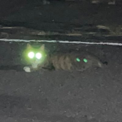 sometimeとsometimesは意味が違うらしい ずっと座ってたら眠くなるので定期的に動く 佐賀県鈴鹿市市長
