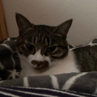 t_koa32's profile picture. 