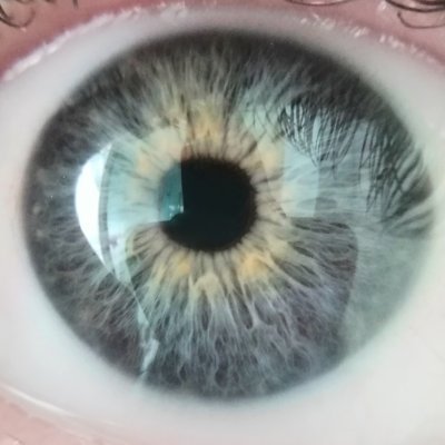 Both trans and lucent. Can never find her glasses. Resting bitch face/voice/aura.
Post-mortal Doctor of Thaumaturgy and Existential Alteration.