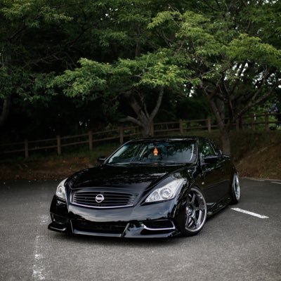 tamo_ckv36's profile picture. 04.すかくー