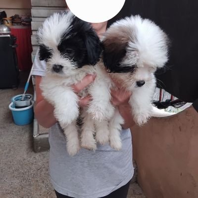 AbaniaEd82822's profile picture. 