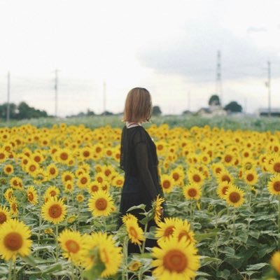 Nozomiさんのプロフィール画像