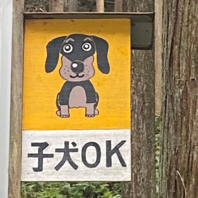 nasunohasamiagg's profile picture. 今日はゾウ明日はライオン