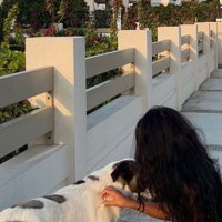 𝓗🌺 (@hisdramatic) 's Twitter Profile