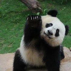 gicu69's profile picture. Bitcoin believer | Tracking ETF flows, halving cycles & global adoption 🌍