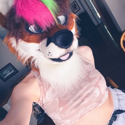 SigoBonitas_'s profile picture. cuenta solo para reposts.
