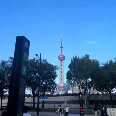 NoVapeTom's profile picture. 