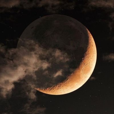 무지(無知)는 시간을 잡아 먹는다 흔들리는 삶 속에서 고요하고 단단한 마음 INTP
중.꺽.그.마.