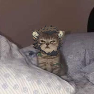 thaofurry78676's profile picture. 