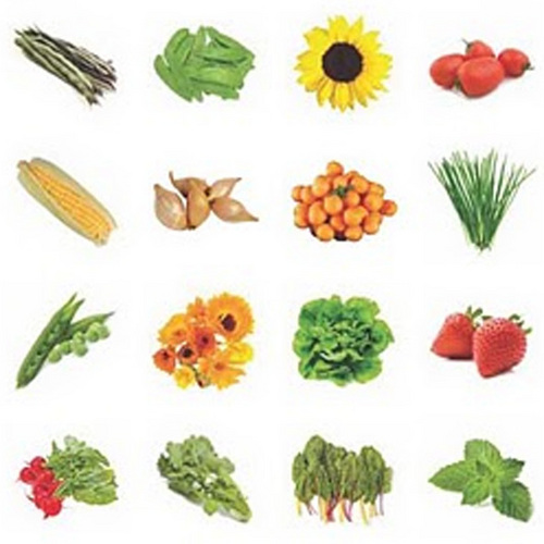 coolzaadtweets's profile picture. Chemie in de buurt | LABjes grond van BuurtLAB | COOLblad voor kids | Sociaal & Gezond | SquareFootGardening | Verwondering