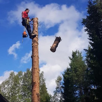 Kaikkien alojen amatööri. Kompostivastaava. Epäonnistumisten kokemusasiantuntija.