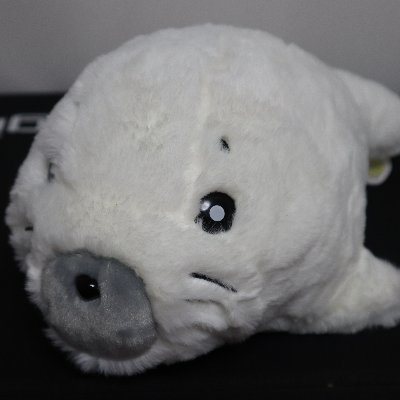 かげへび@4/19 コマンダーサミットサーガ on X: かげへび@4/19 コマンダーサミットサーガ on X: