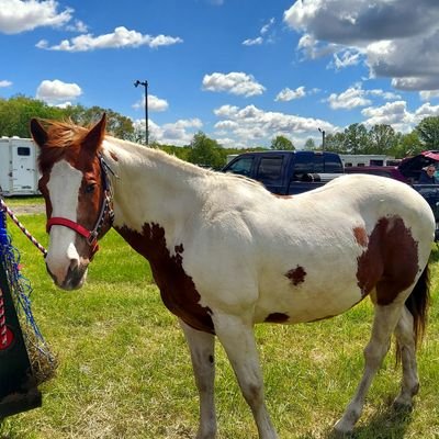 MidwestPaints's profile picture. 