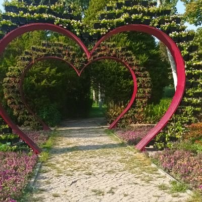 Aylin88165631's profile picture. عاشقانه خدارو دوست دارم♥️😍