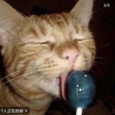 noyb542062's profile picture. 