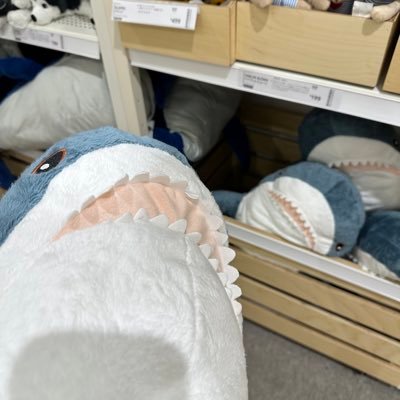 gid12_'s profile picture. ￤ljk￤私立大志望￤勉強垢￤