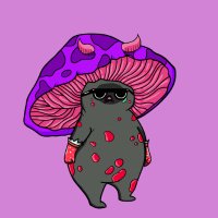 Elton (evm/acc) (@_taco7) 's Twitter Profile Photo