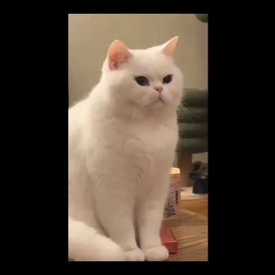 ChawinbutW75544's profile picture. 